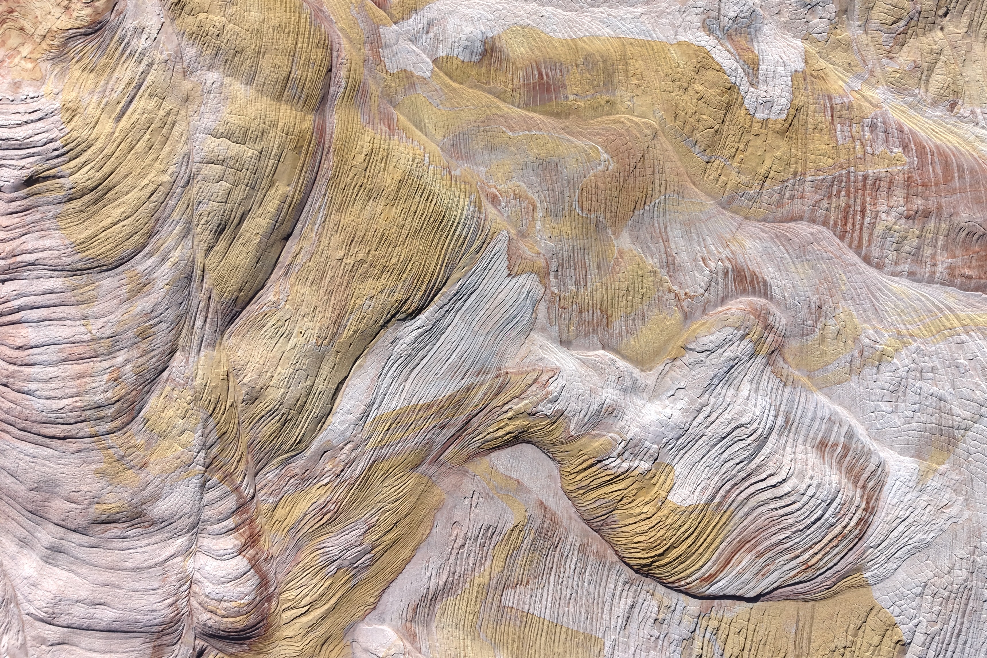 Navajo Sandstone at Yellow Rock