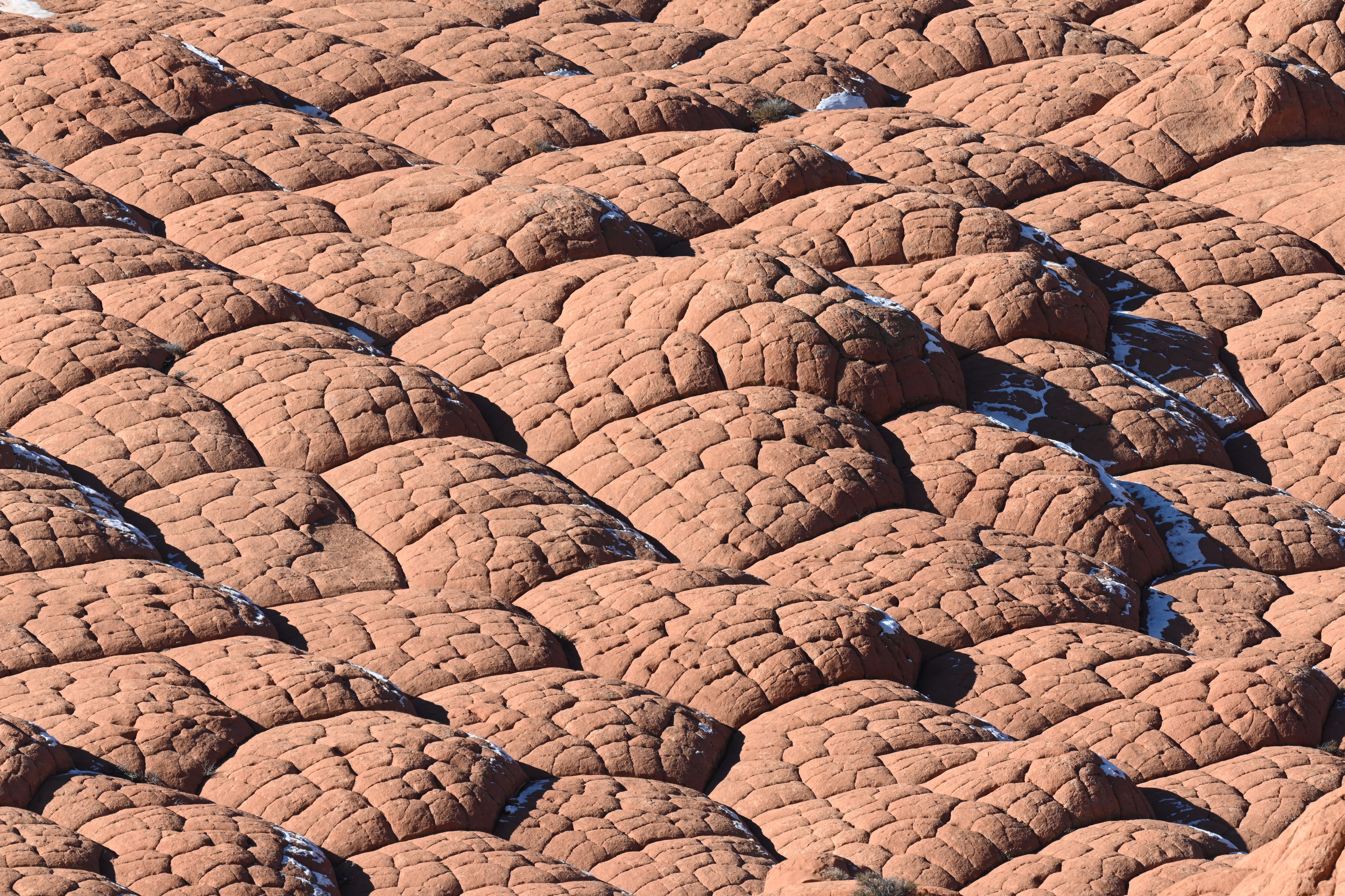 Polygonal weathering