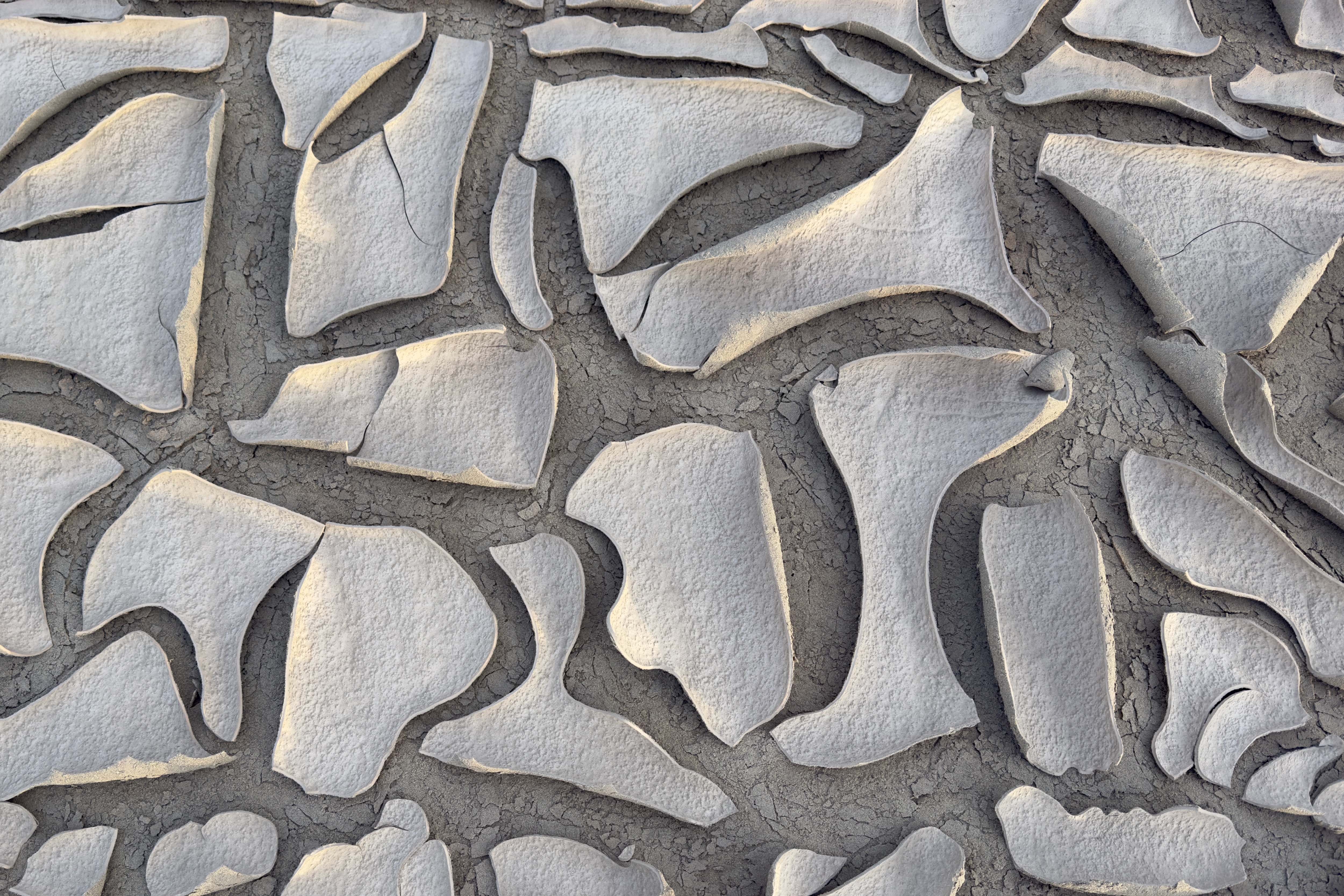 Mudcracks in Death Valley