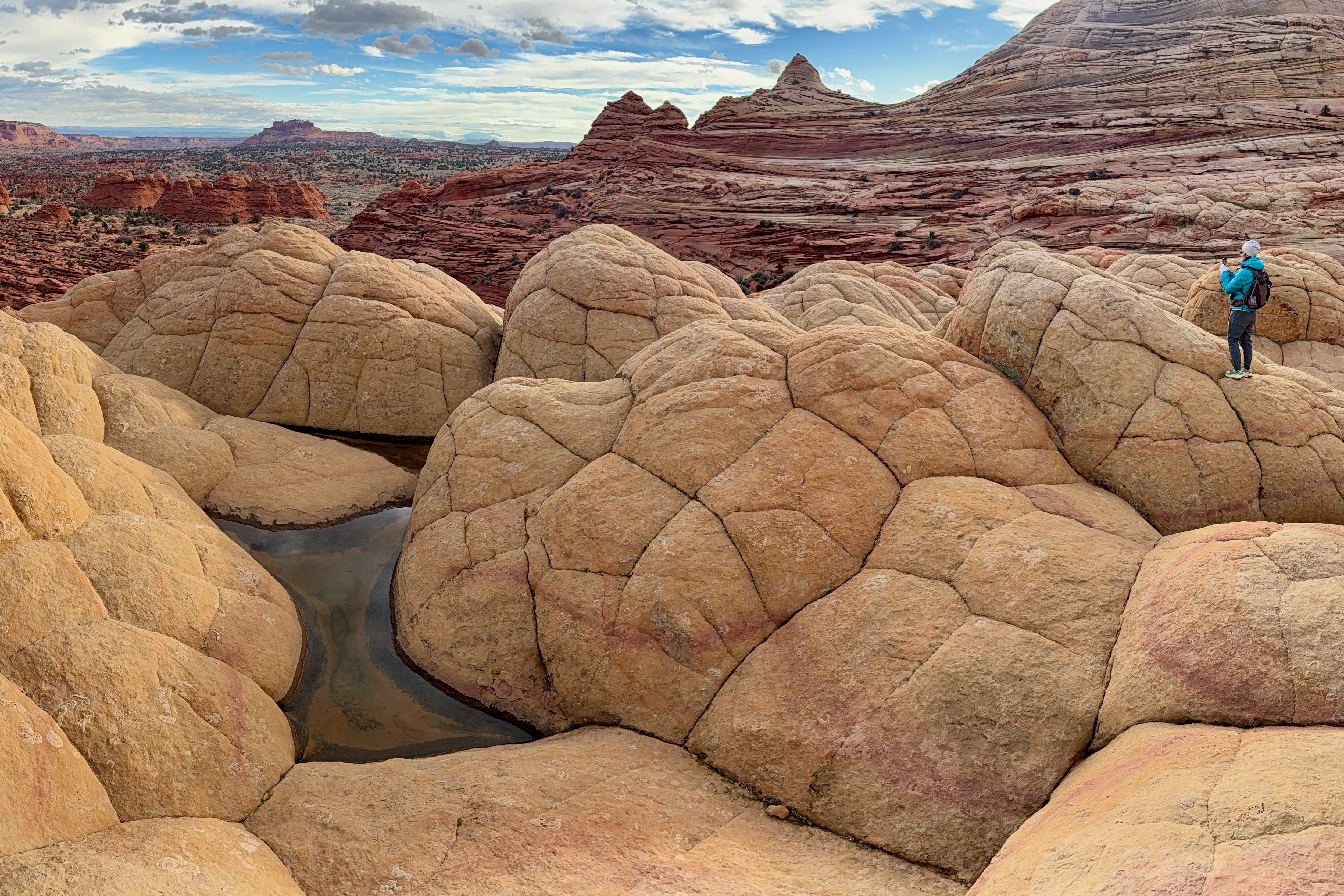 Polygons above The Wave