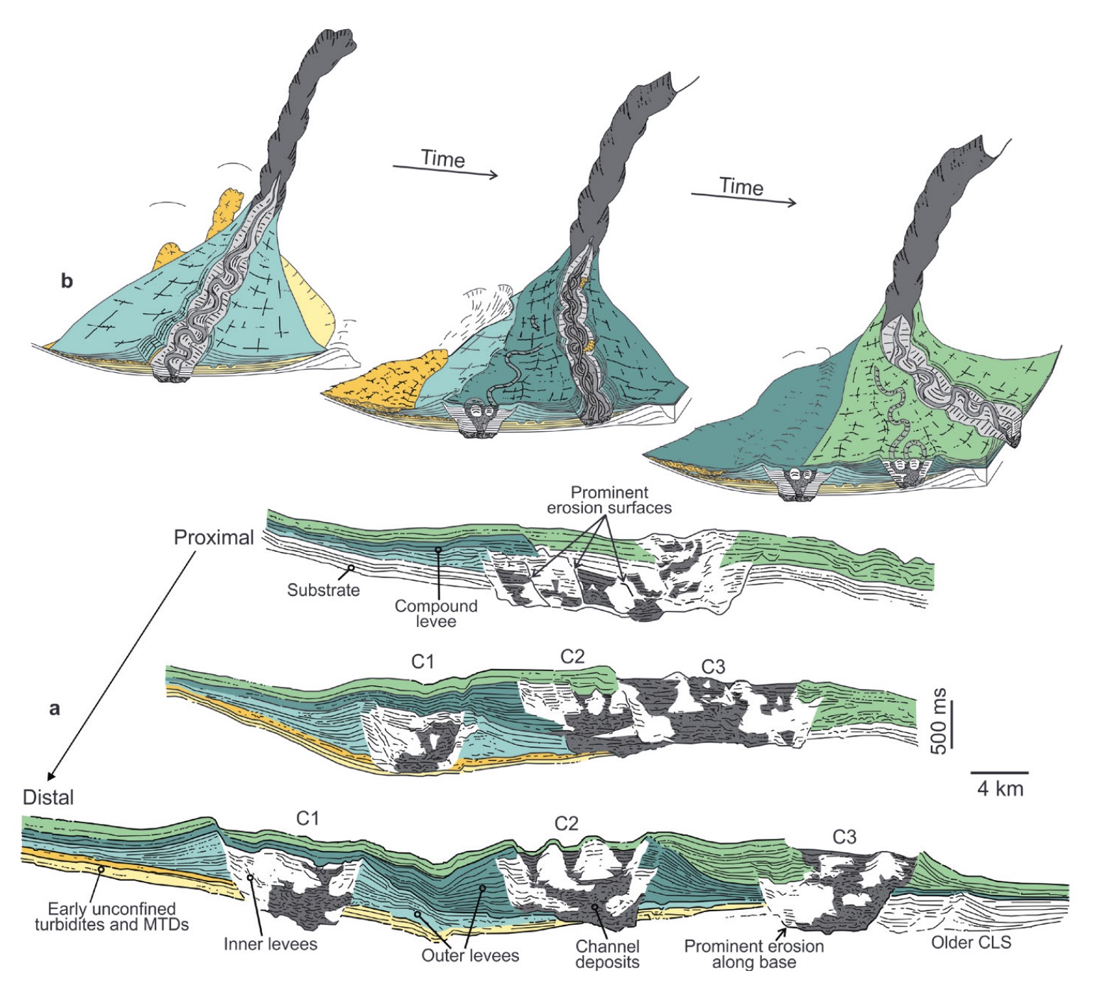 Submarine Fans and Their Channels, Levees, and Lobes