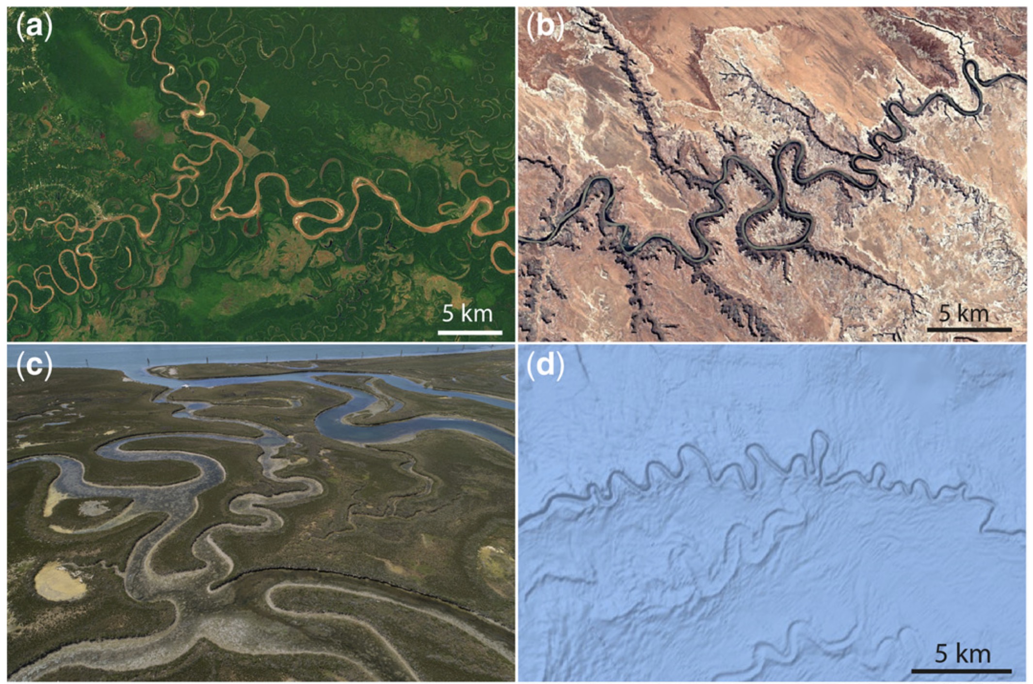 Meandering streamflows across landscapes and scales: a review and discussion