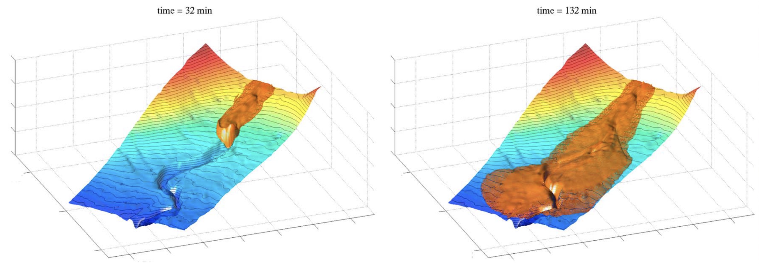 3-D Numerical Simulation of Turbidity Currents in Submarine Canyons off the Niger Delta