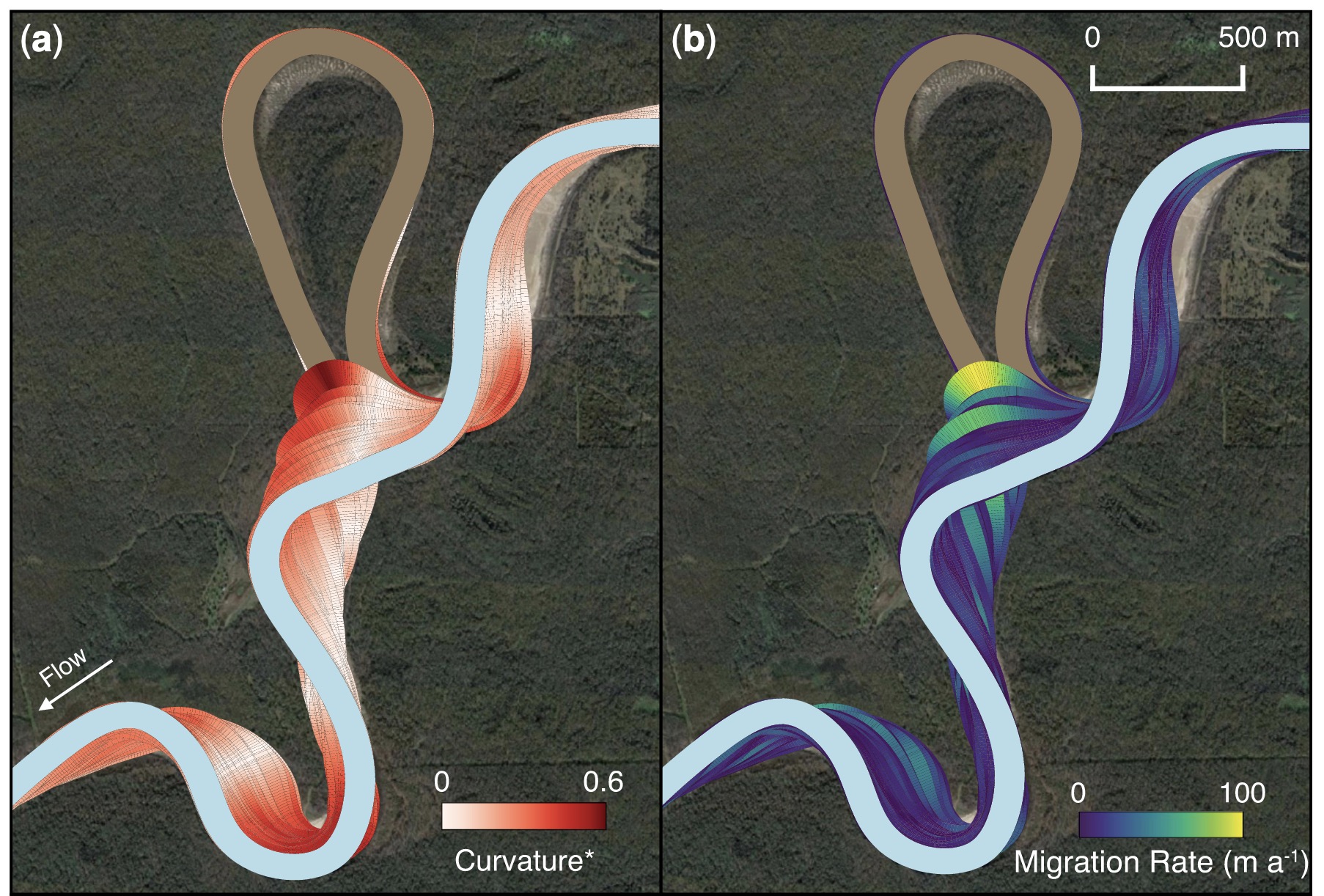The impact of post-cutoff bend curvature on channel kinematics in meandering rivers: an example from the Trinity River, Texas, USA